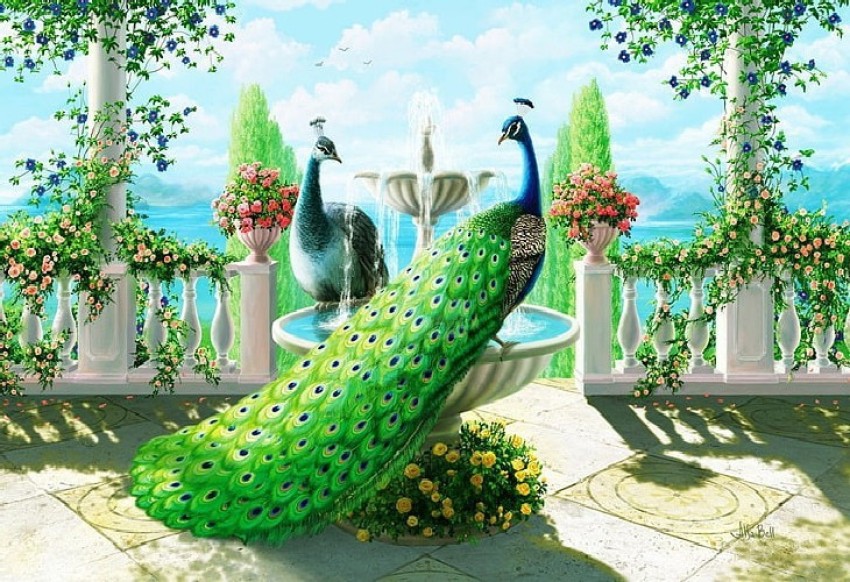 latest 3d wallpaper 2021 | 3d peacock wallpaper for walls | paradise decor  | how to order wallpaper, - YouTube