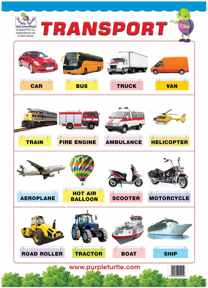 Vehicles Chart  Kids learning charts, Transportation preschool, English  lessons for kids