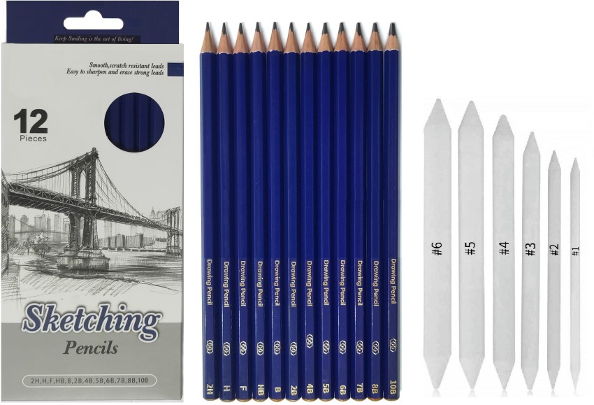 Professional Drawing Sketching Pencil Set - 12pcs Sketch Pencils (B & 2B),  Artist Drawing Pencils Kit For Sketching,Shading & Blending, Art Supplies F