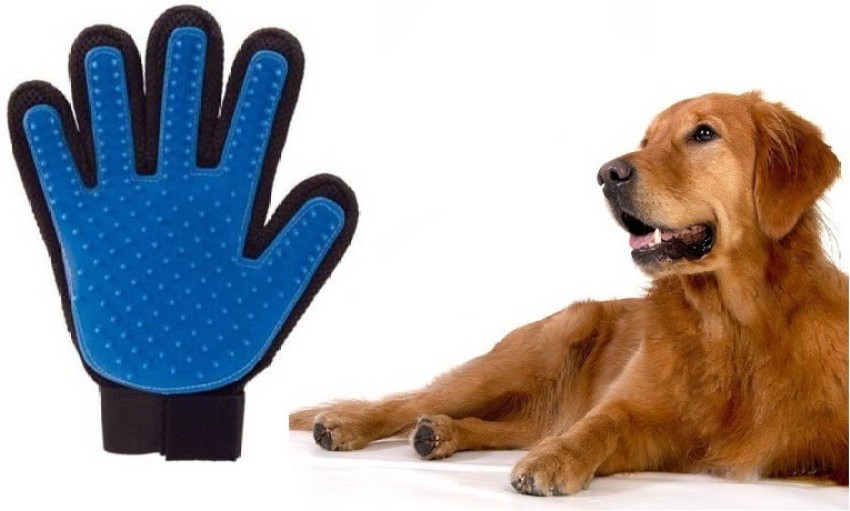 Pet hair outlet remover mitt