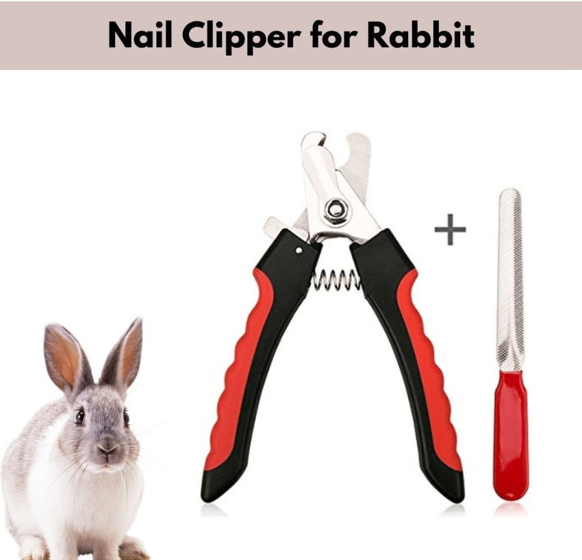 Rabbit nail cutter best sale