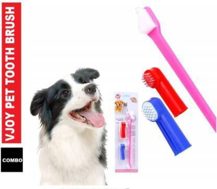 What kind of toothbrush for clearance dogs