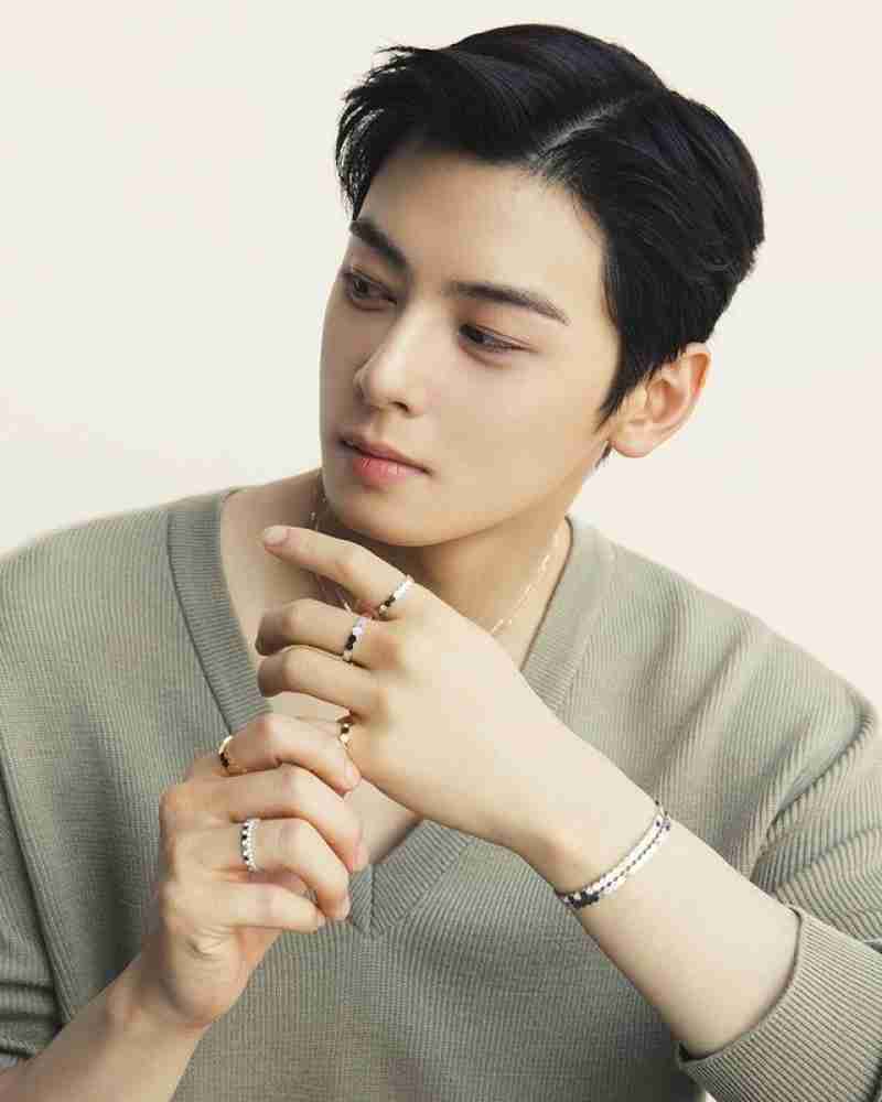 Korea Cha Eun Woo POSTER Wall Pictures For Living Room Fall Decor