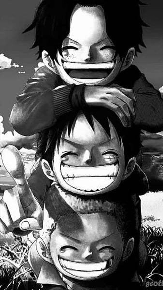 Ace, Sabo, and Luffy  Ace and luffy, One piece manga, Ace sabo luffy