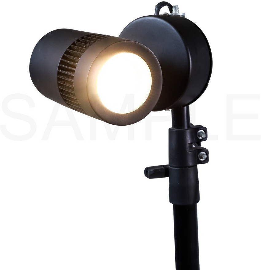 Daz Cam Multi Uses Focus Light Stand with Remote control Sensing