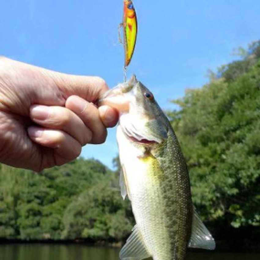 Floating Hard Cricket Fishing Lure 5.5cm/3.7g Bait Crankbaits with Treble  Hook