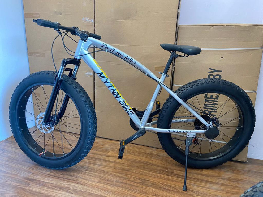 Prime fat bike store