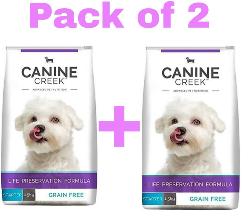 Canine online creek starter