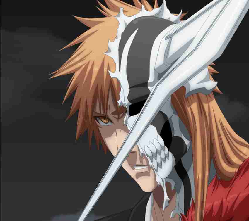 Ichigo Anime Bankai Bleach Kurosaki Manga Tensa Zangetsu Vasto Lorde Matte  Finish Poster Paper Print - Animation & Cartoons posters in India - Buy  art, film, design, movie, music, nature and educational