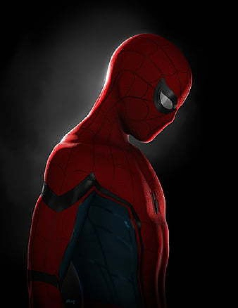 Original Spider-Man: Homecoming Movie Poster - Tom Holland - Marvel