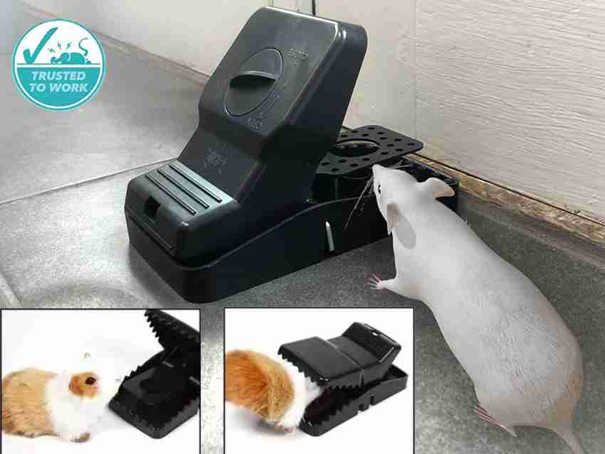 Techperiment Mouse Trap for mice control Rat/Mouse/Rodent Trap