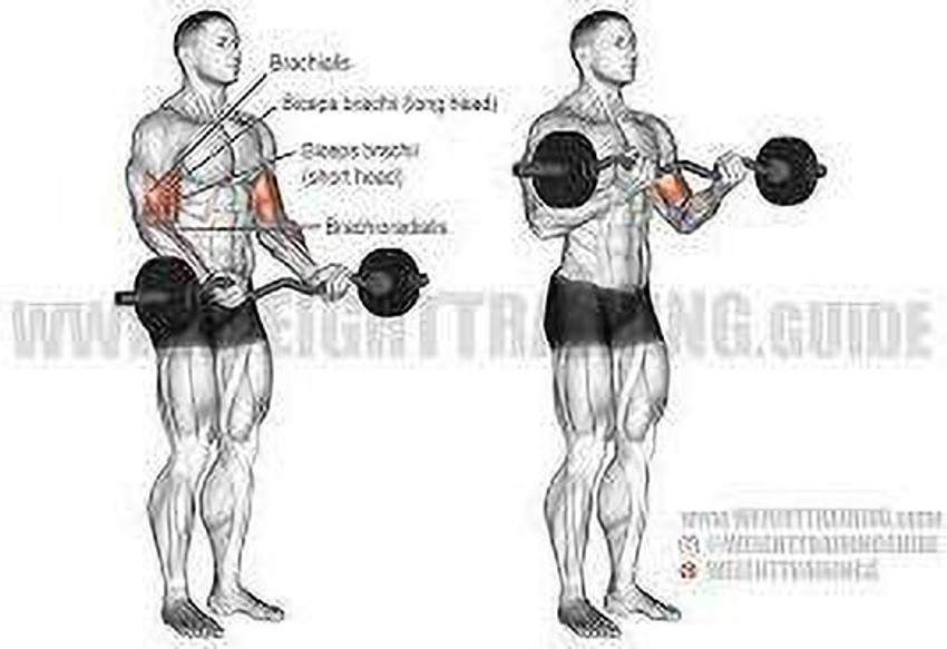 Arm exercises with bar weights top