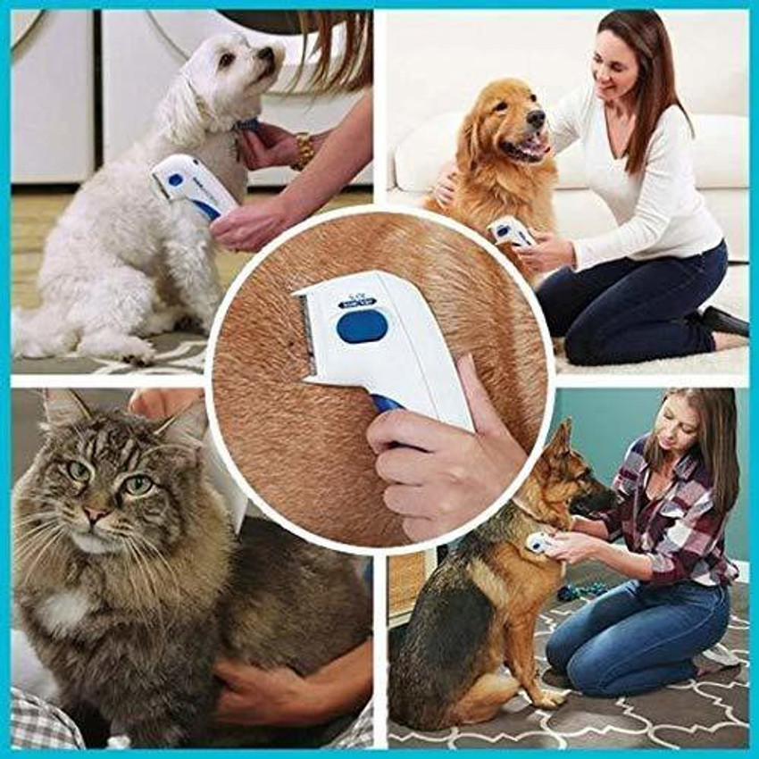 ASTROMETRIC Dr.Flea Comb Electronic Comb for Dog Cat Horse Price