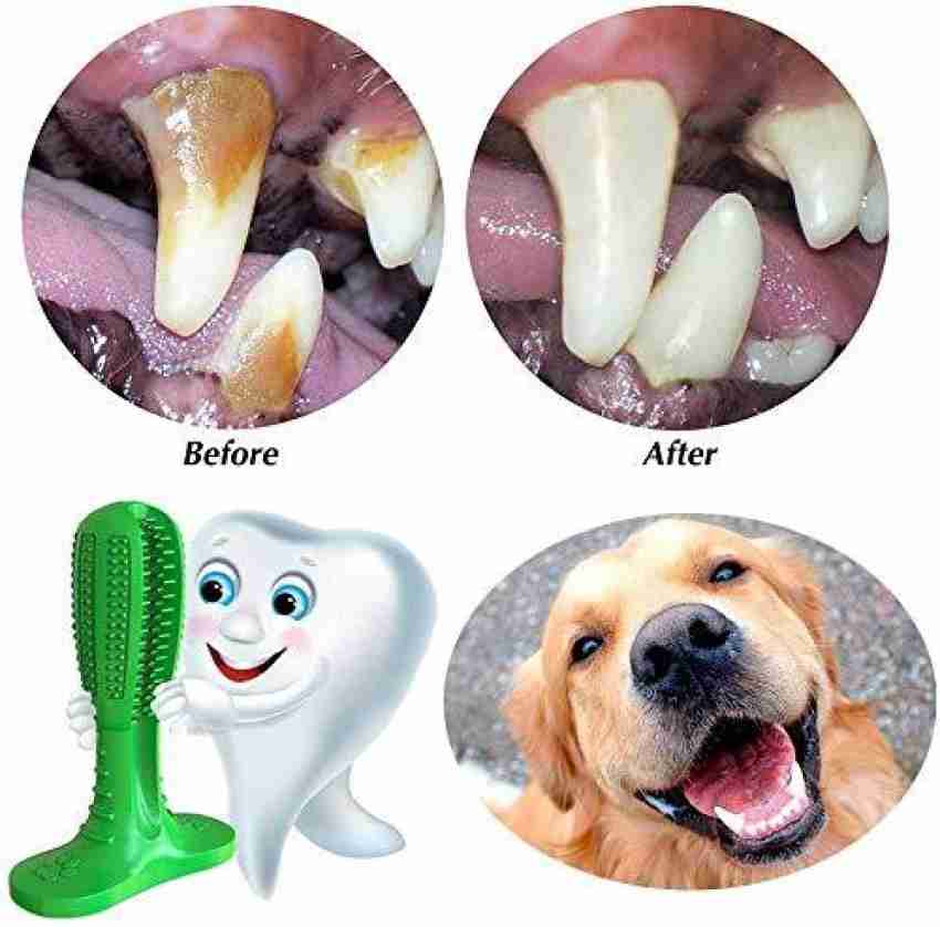 Dental brushing stick for 2024 dogs