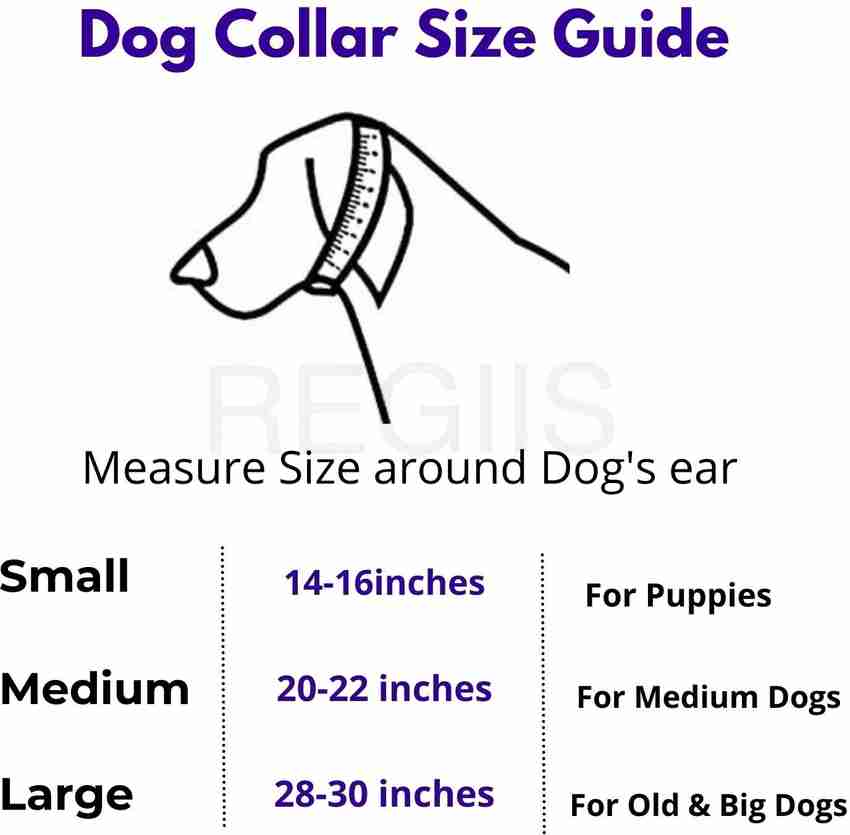Dog collar medium size online