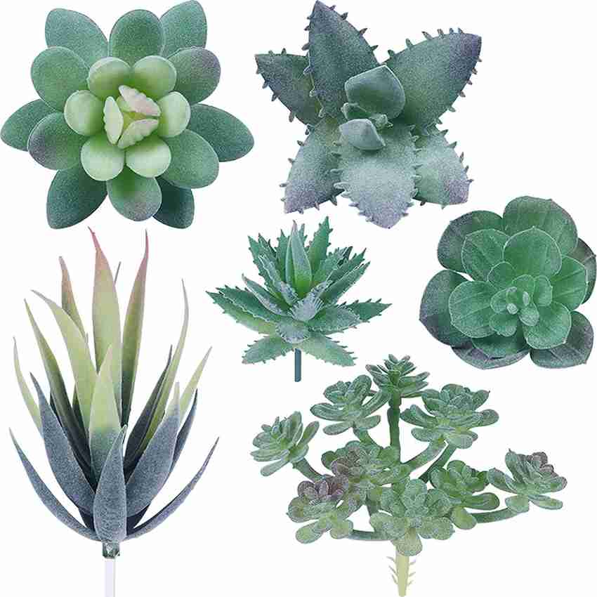 Artificial deals succulent plants