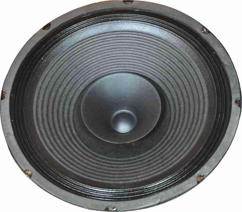 Speaker classic sale 12 inch