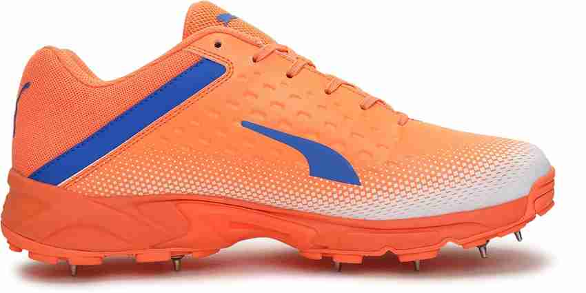 Puma cricket shoes flipkart store
