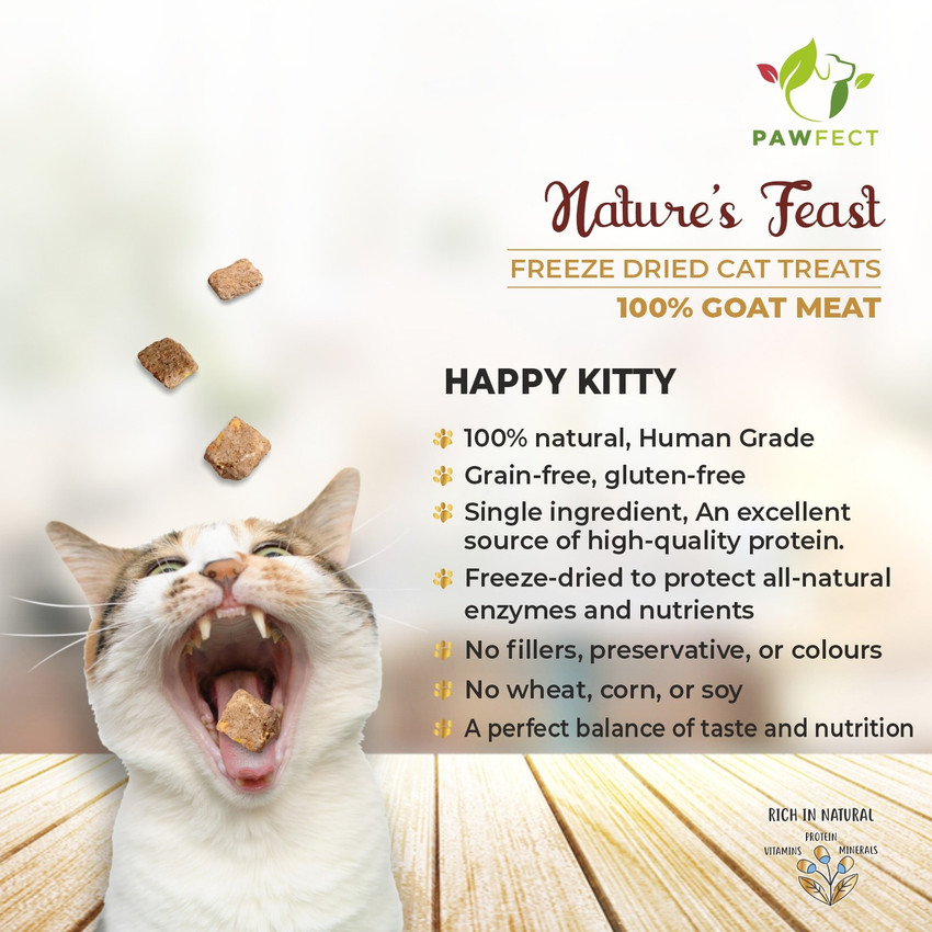 Young living cat treats top