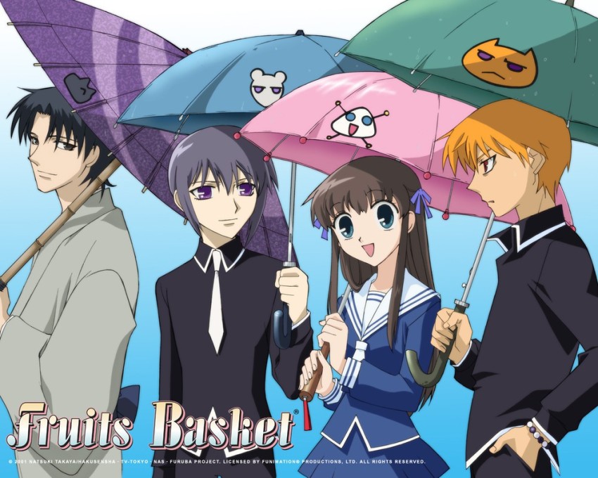 20 Anime To Watch If You Love Fruits Basket