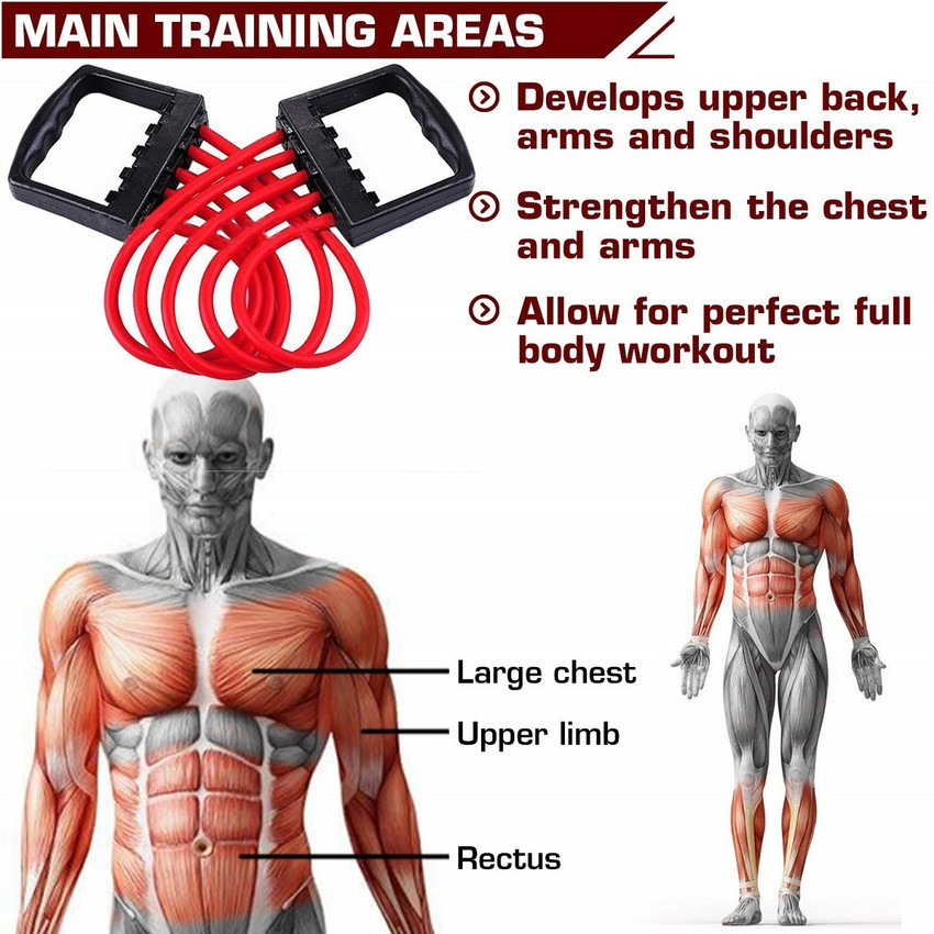 Chest expander rope discount