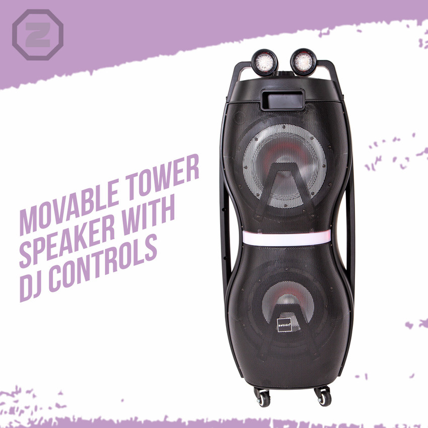 Zebion dj speakers top