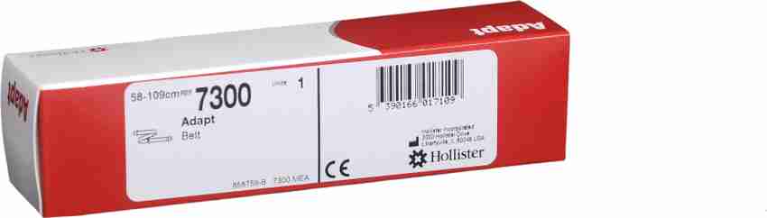 Hollister 7300 2025