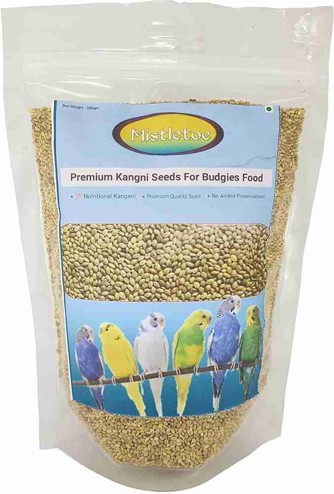 Mistletoe Product Budgie Finch Love Bird Premium Foxtail millets Bird Food Kangani Seed 0.5 kg Dry Young Adult Bird Food Price in India Buy Mistletoe Product Budgie Finch Love Bird Premium