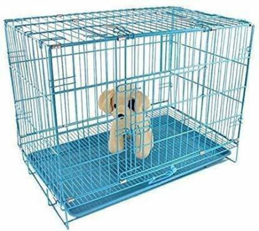 how to crate train a shih tzu puppy