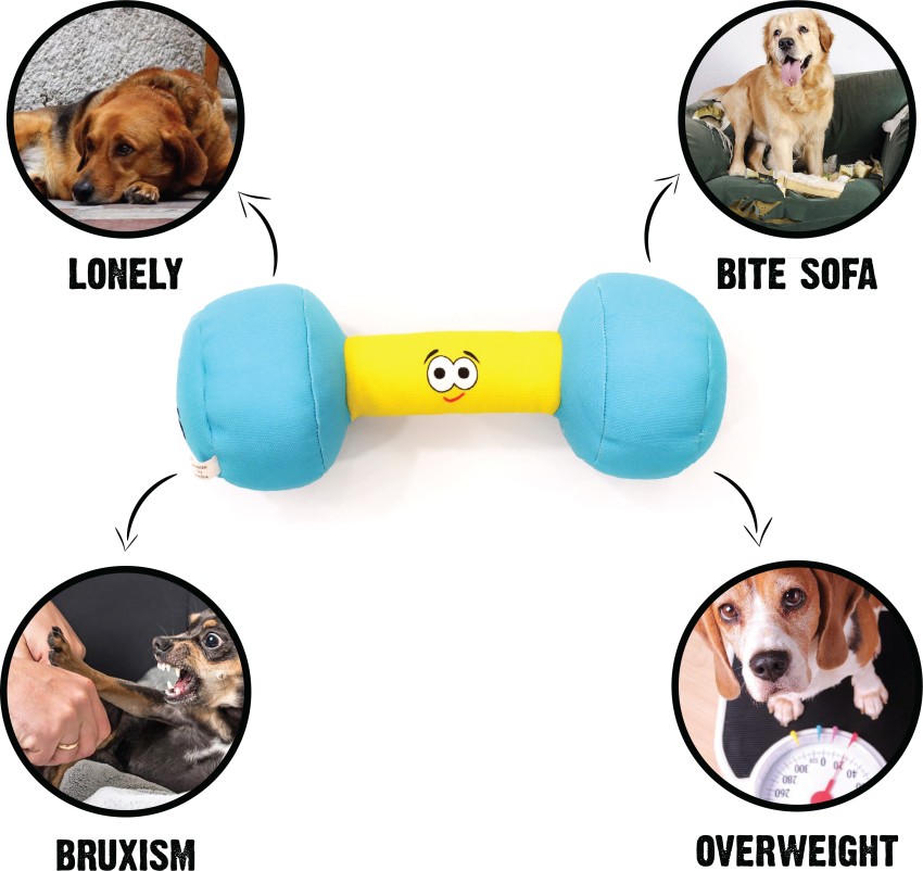 Buy Dog Toys Online at Best Price in India - Goofy Tails – GoofyTails