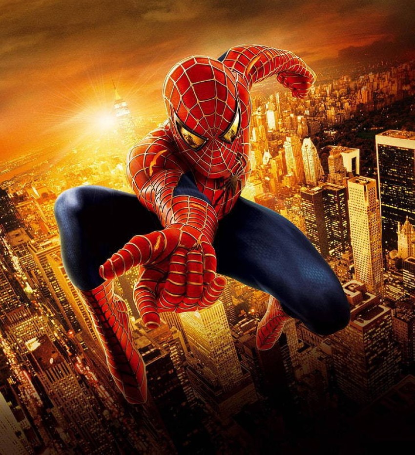 Poster Bubble Spider-Man The Amazing Spiderman Matte Finish Paper Poster  Print (Multicolor)PB-5316 : : Home & Kitchen