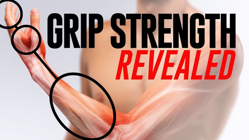 h d craft best Stretcher Exerciser Strength Trainer LZS 455 Forearm Grip Workout Hand Grip Fitness Grip Buy h d craft best Stretcher Exerciser Strength Trainer LZS 455 Forearm Grip Workout Hand Grip F...