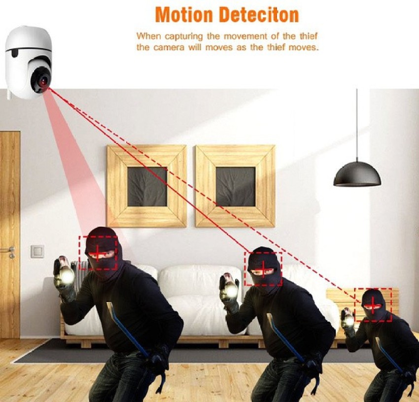 indoor camera that moves