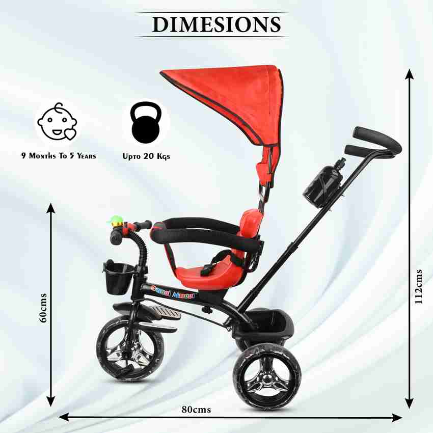 Best tricycle for 5 year old online