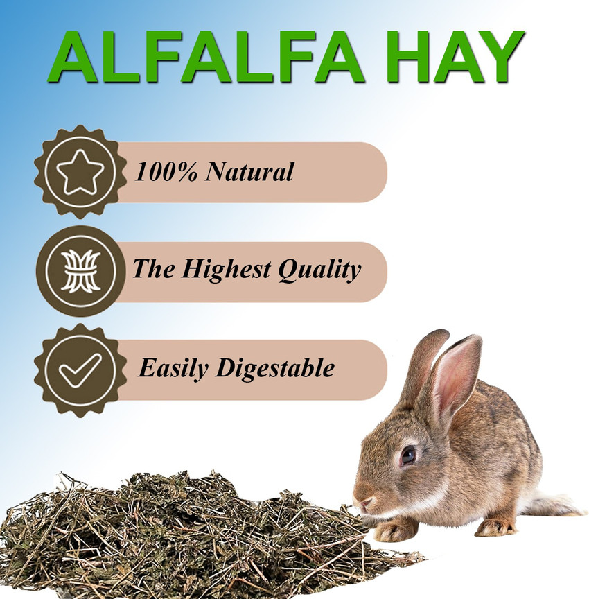 Alfalfa hay cheap for baby bunnies