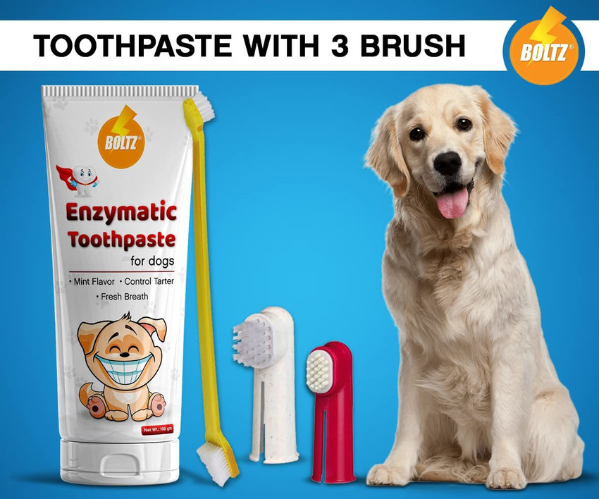 Enzymatic 2025 dog toothpaste