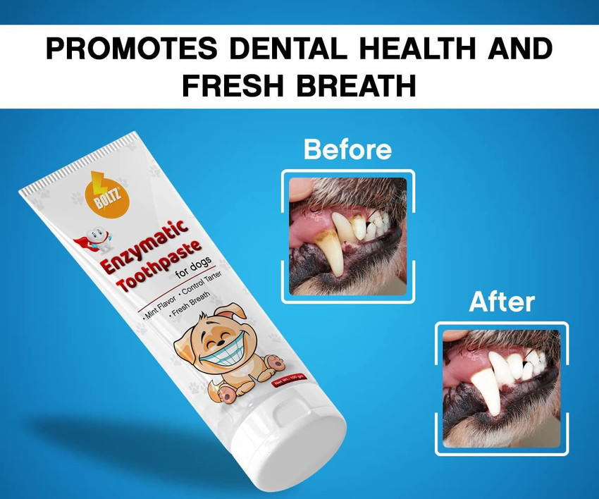 Canine enzymatic toothpaste shop