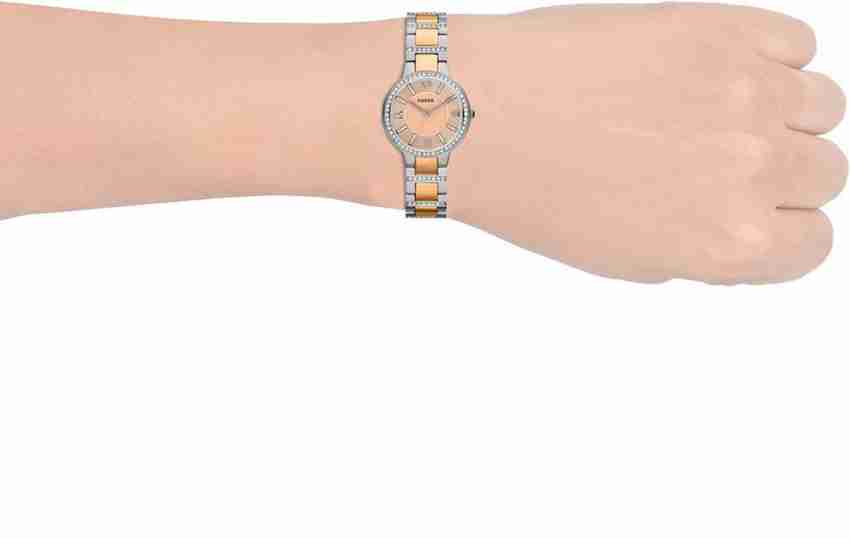 Es3405 fossil 2025