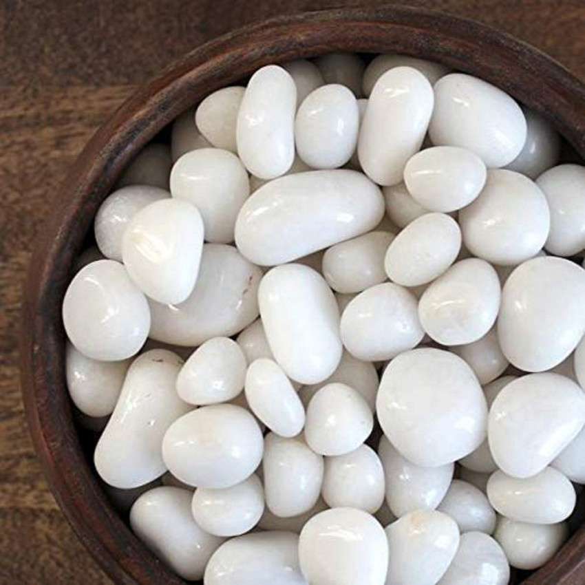 HEALTHY AND LOVING PETS Polished Natural White Pebbles Plants pots