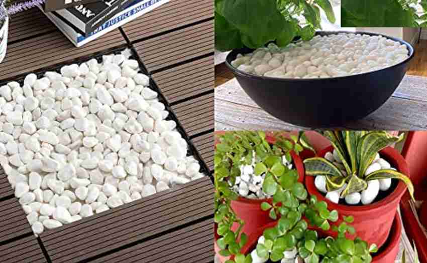 HEALTHY AND LOVING PETS Polished Natural White Pebbles Plants pots Decoration Stones for Garden 1 KG 92 Aquarium Air Stone Price in India Buy HEALTHY AND LOVING PETS Polished Natural White