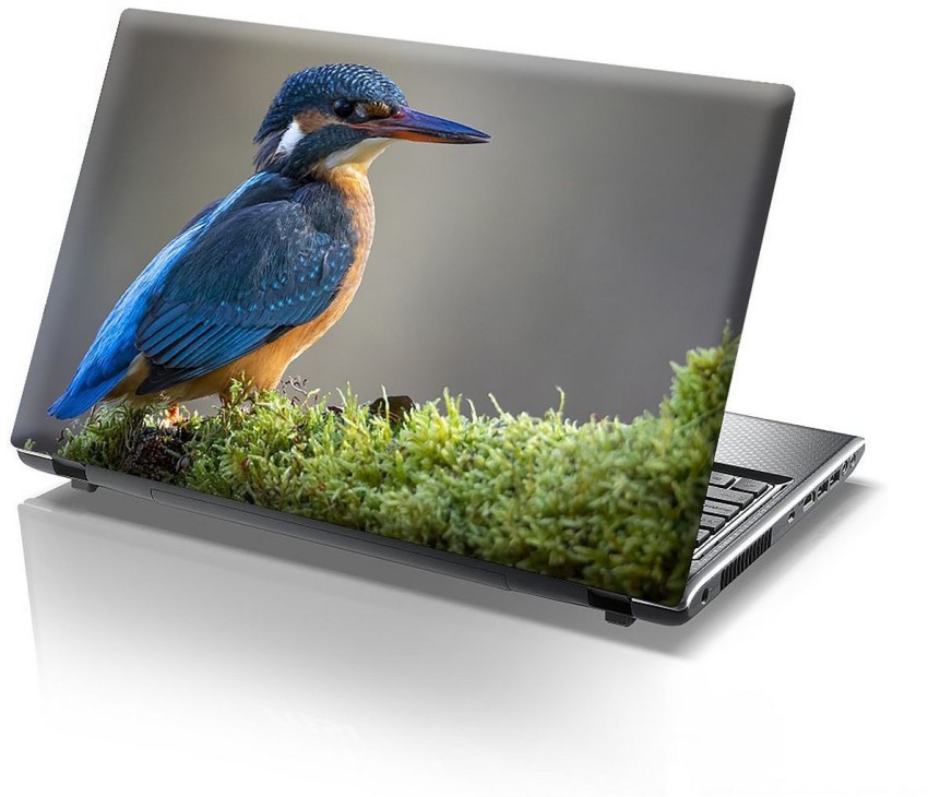 KREEPO Blue Bird Laptop Skin/Cover/Sticker for All Laptop Sticker