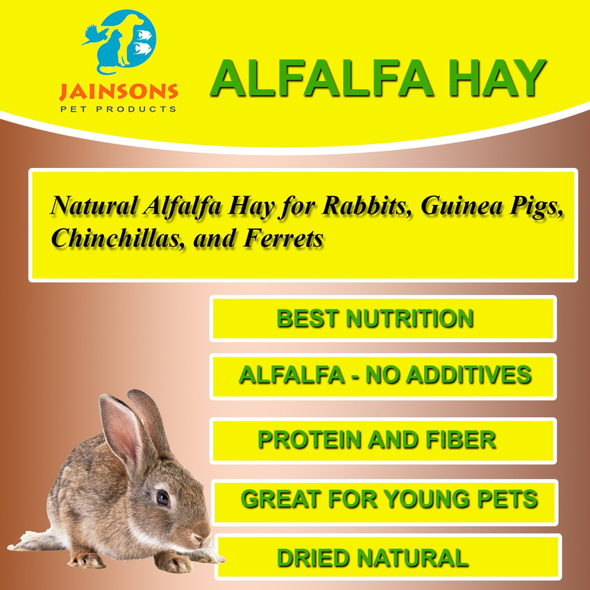 Best alfalfa clearance hay for rabbits