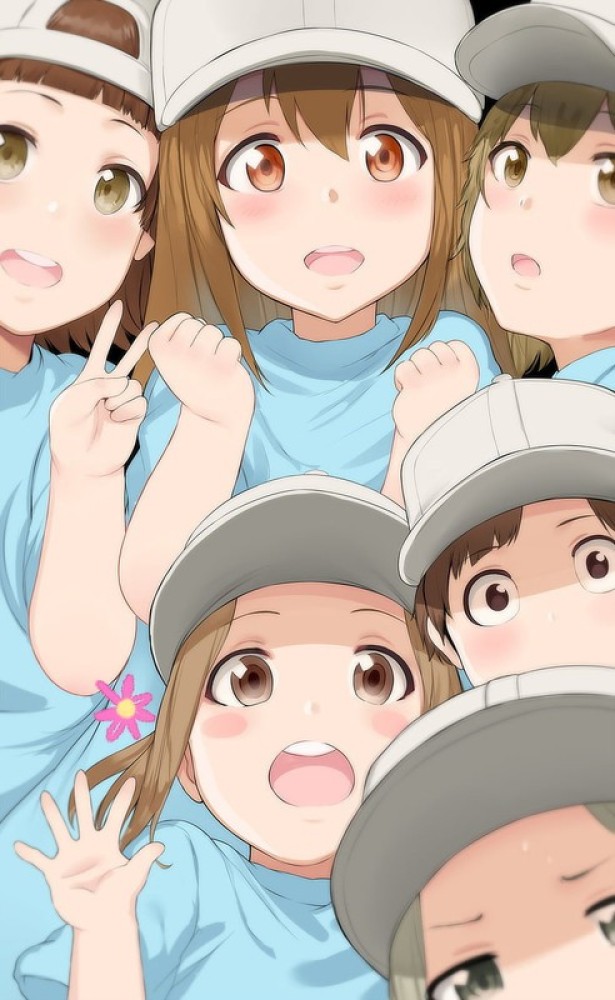 Hataraku Saibou Anime Girls Cells Loli 1 Poster Paper Print - Animation &  Cartoons posters in India - Buy art, film, design, movie, music, nature and  educational paintings/wallpapers at