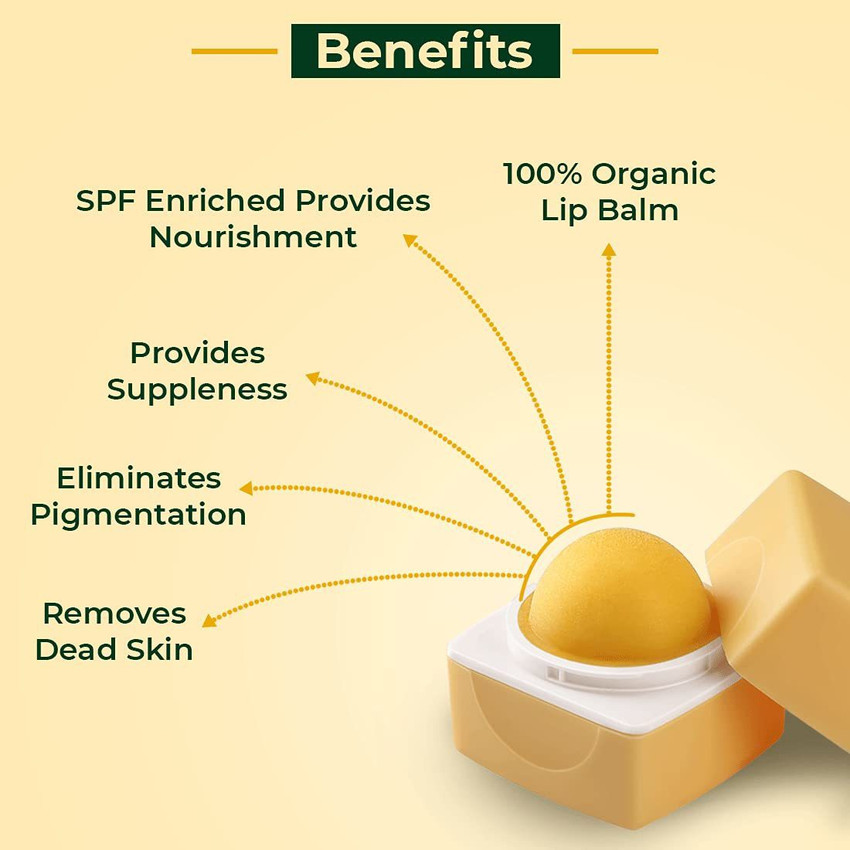 VBA Lemon Flavour Lip Balm Benefits of Lemon Extract For Women Dark Lips to Lighten Lemon Price in India Buy VBA Lemon Flavour Lip Balm Benefits of Lemon Extract For Women Dark Lips to Lighten Lemon O...