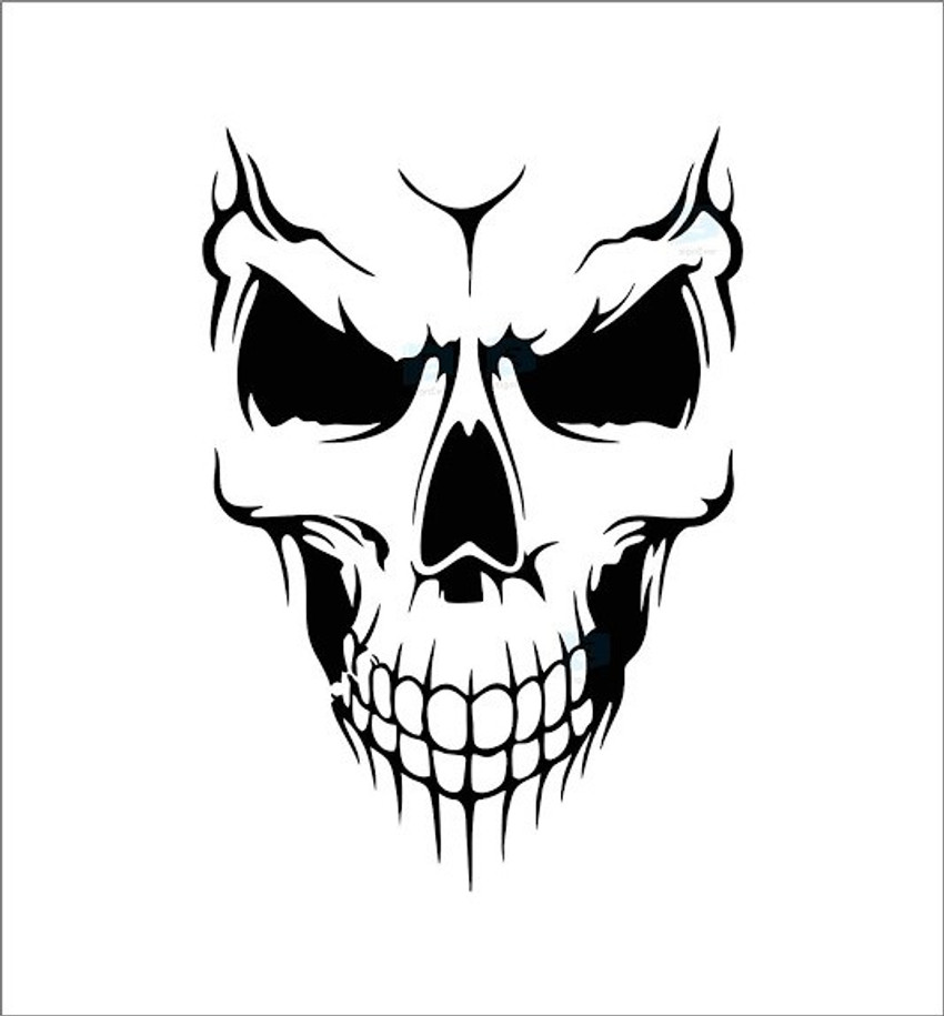 Car sticker black and best sale white