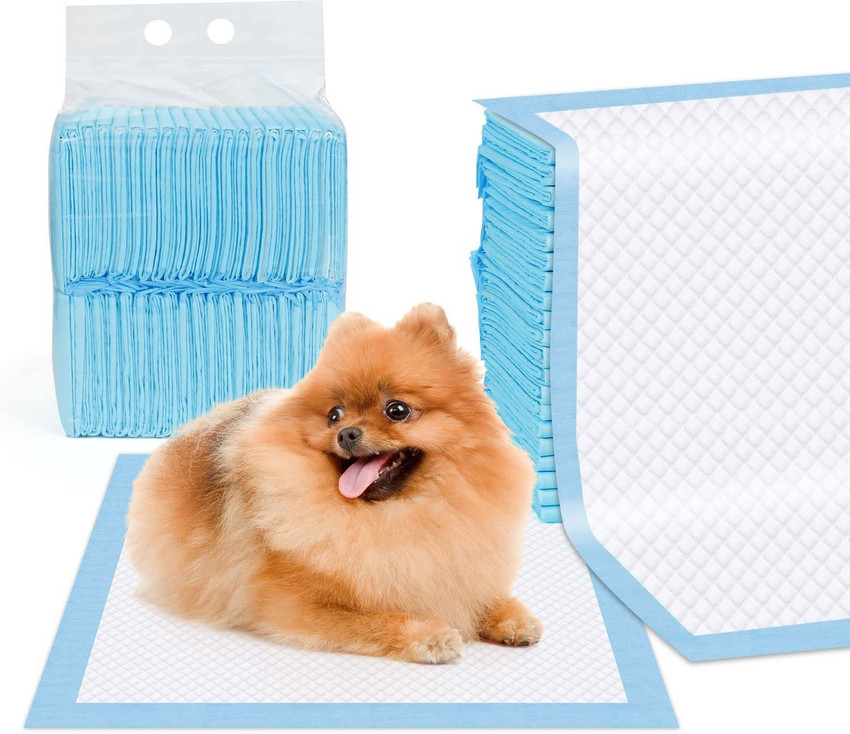 50 puppy clearance training pads