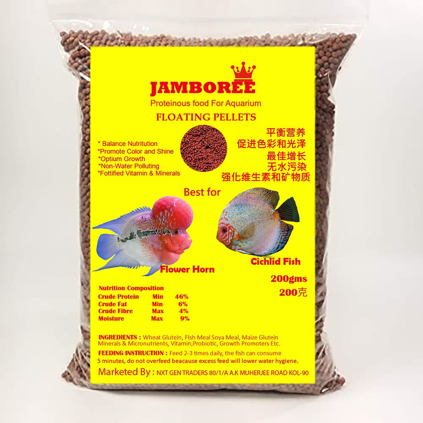 JAMBOREE Flower Horn Cichlid Pellets Goldfish Carp Guppies Small Medium Aquarium Feed 0.2 kg Dry New Born Young Fish Food Price in India Buy JAMBOREE Flower Horn Cichlid Pellets Goldfish Carp