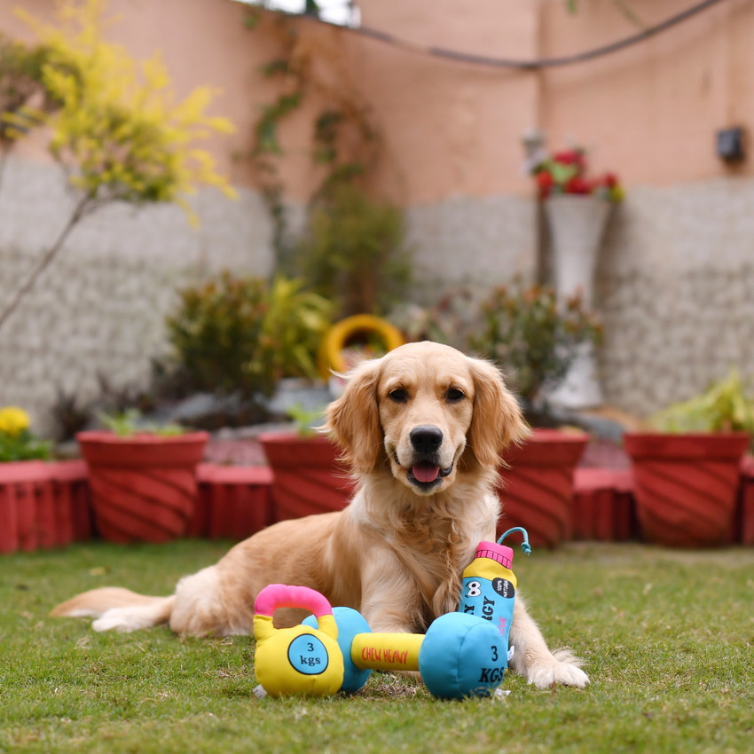 Fur shop dog toy
