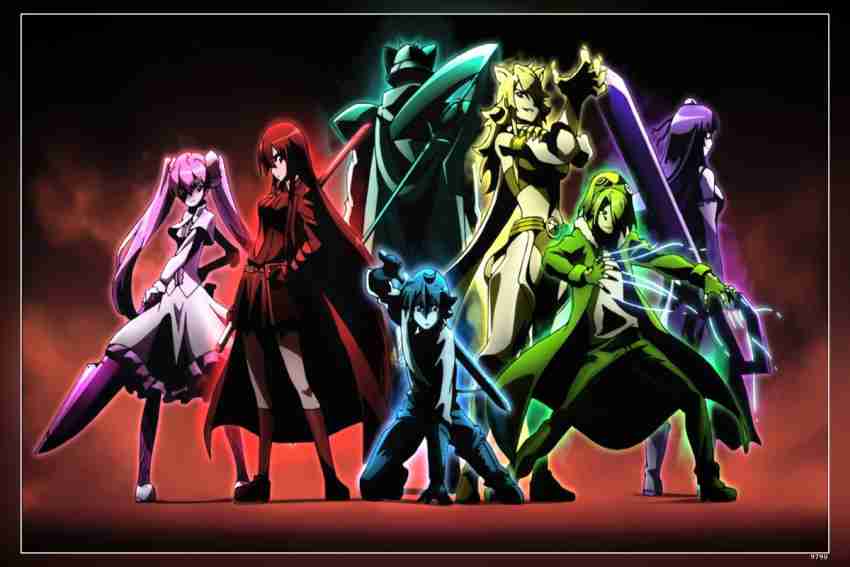 Akame Ga Kill Anime Night Raid Characters Premium Poster