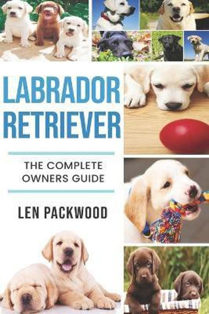 Labrador dog price in flipkart on sale